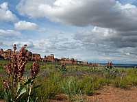 Arches Broken Arch (3).JPG